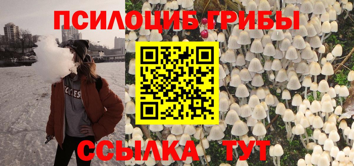 Людиново  Псилоцибиновые грибы Psilocybe  Галлюциногенные грибы Cubensis  Вход с VPN 